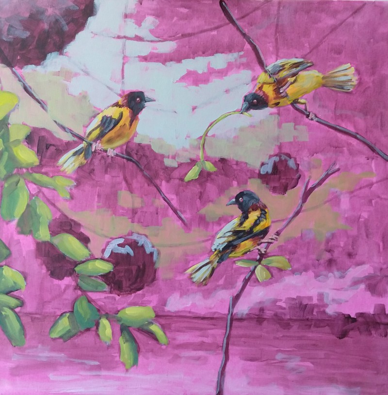 Building up layers of the birds painting